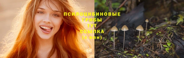 меф Арсеньев