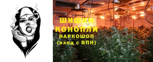 меф Арсеньев