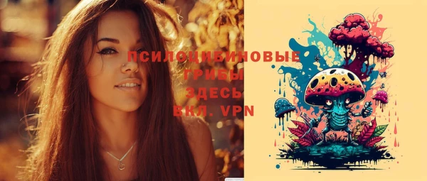 меф Арсеньев